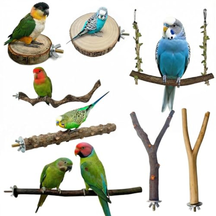 Health & Wellness Kuala Lumpur Reviews - 8 stuks natuurlijke houten vogelzitstokken voor